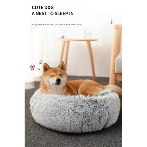 pawbeds