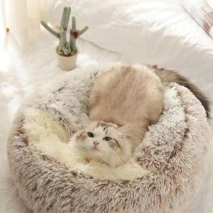 pawbeds