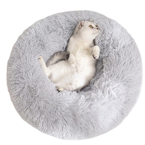 pawbeds